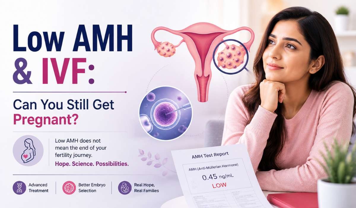 Low AMH and IVF treatment consultation for women with low ovarian reserve